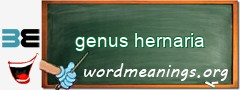 WordMeaning blackboard for genus hernaria